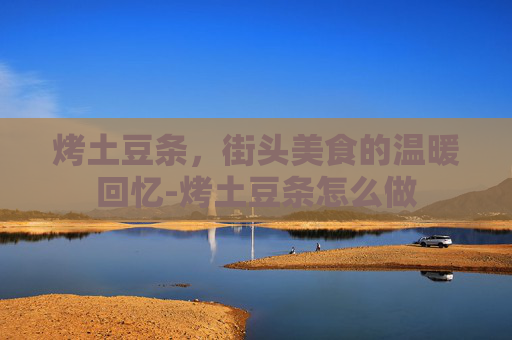 烤土豆条，街头美食的温暖回忆-烤土豆条怎么做