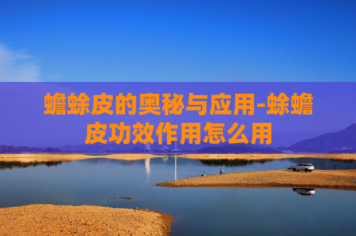 蟾蜍皮的奥秘与应用-蜍蟾皮功效作用怎么用