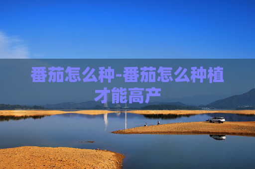 番茄怎么种-番茄怎么种植才能高产