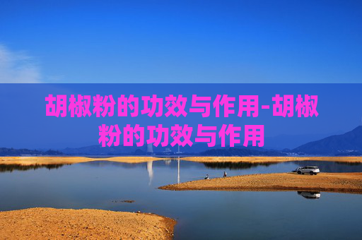 胡椒粉的功效与作用-胡椒粉的功效与作用