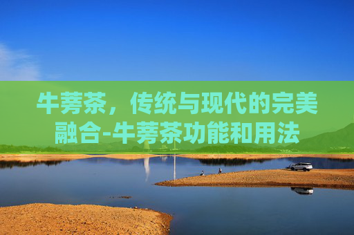 牛蒡茶，传统与现代的完美融合-牛蒡茶功能和用法
