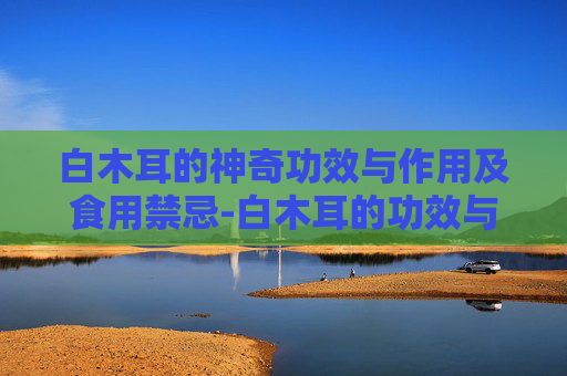 白木耳的神奇功效与作用及食用禁忌-白木耳的功效与作用及禁忌,脂肪肝吃什么食物好
