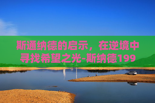 斯通纳德的启示,在逆境中寻找希望之光-斯纳德1999 斯通纳德的启示,在逆境中寻找希望之光-斯纳德1999