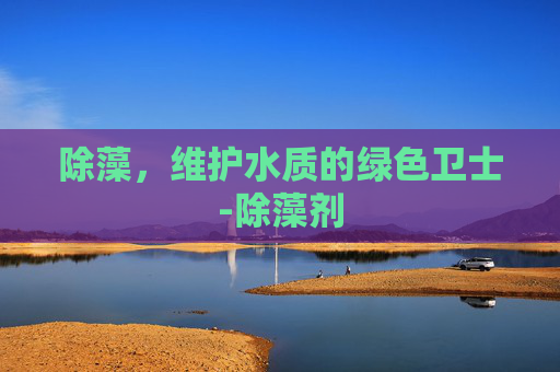 除藻，维护水质的绿色卫士-除藻剂