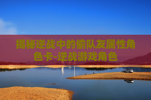 揭秘逆战中的偷队友属性角色卡-逆战游戏角色
