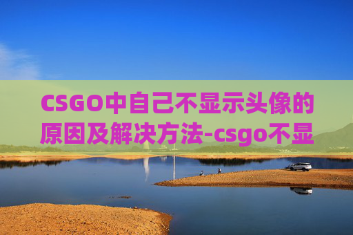 CSGO中自己不显示头像的原因及解决方法-csgo不显示头像只显示人数