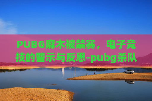 PUBG麻木被禁赛，电子竞技的警示与反思-pubg杀队友禁赛多久