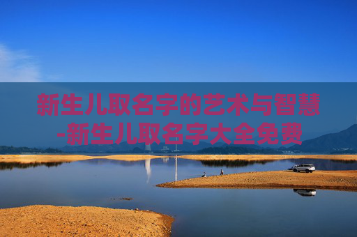 新生儿取名字的艺术与智慧-新生儿取名字大全免费
