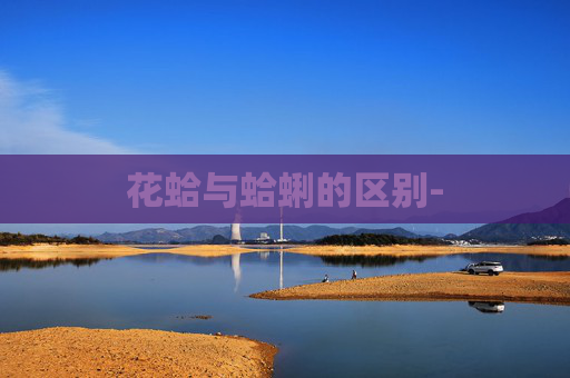 花蛤与蛤蜊的区别-
