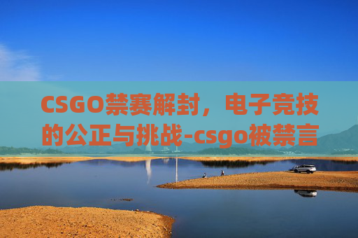 CSGO禁赛解封，电子竞技的公正与挑战-csgo被禁言怎么解除