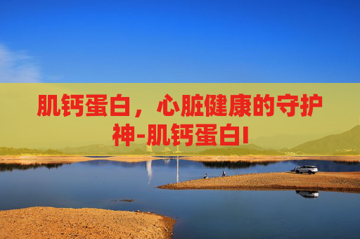 肌钙蛋白，心脏健康的守护神-肌钙蛋白I