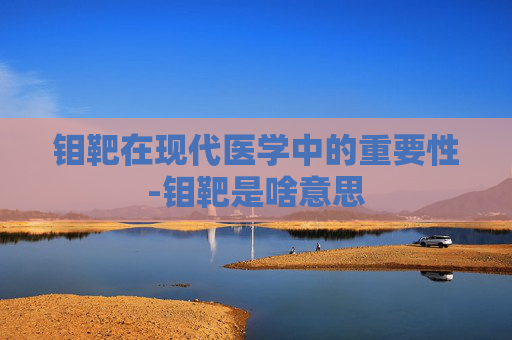 钼靶在现代医学中的重要性-钼靶是啥意思