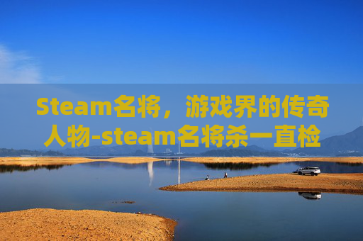 Steam名将，游戏界的传奇人物-steam名将杀一直检查网络