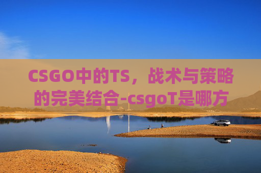 CSGO中的TS，战术与策略的完美结合-csgoT是哪方