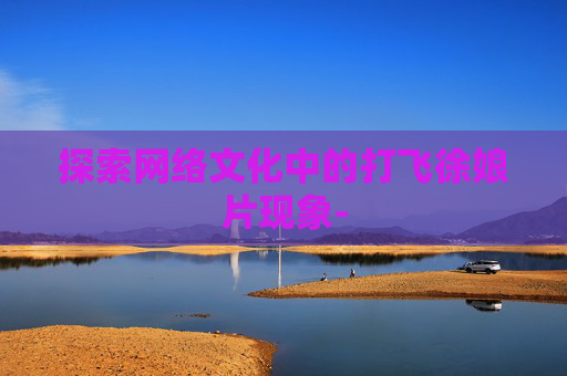 探索网络文化中的打飞徐娘片现象-