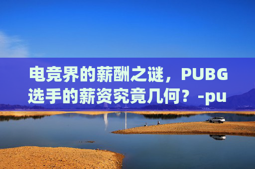 电竞界的薪酬之谜，PUBG选手的薪资究竟几何？-pubg选手身价
