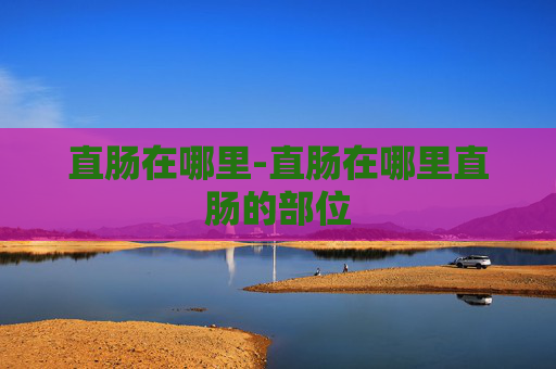 直肠在哪里-直肠在哪里直肠的部位