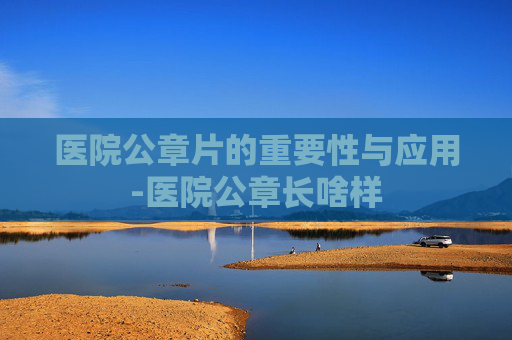 医院公章片的重要性与应用-医院公章长啥样