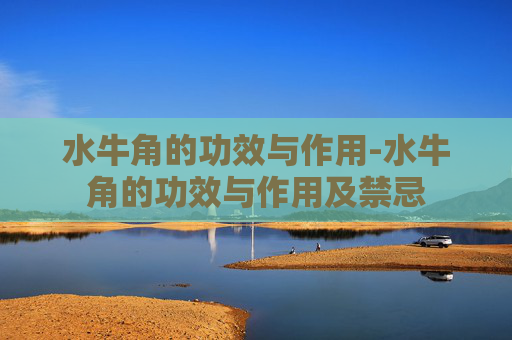 水牛角的功效与作用-水牛角的功效与作用及禁忌