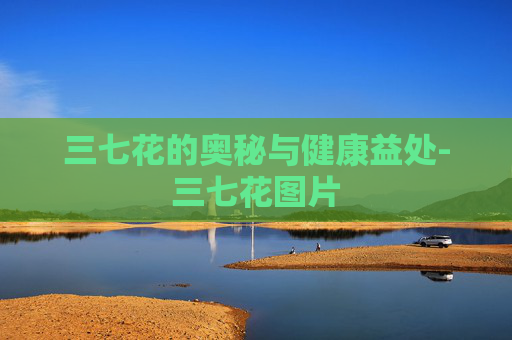 三七花的奥秘与健康益处-三七花图片