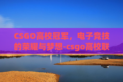 CSGO高校冠军，电子竞技的荣耀与梦想-csgo高校联赛的选手都是什么段位的