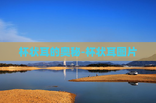 杯状耳的奥秘-杯状耳图片