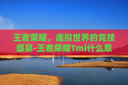 王者荣耀，虚拟世界的竞技盛宴-王者荣耀Tmi什么意思