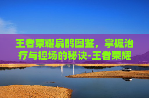 王者荣耀扁鹊图鉴，掌握治疗与控场的秘诀-王者荣耀扁庄图片壁纸