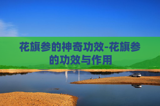 花旗参的神奇功效-花旗参的功效与作用 花旗参的神奇功效-花旗参的功效与作用