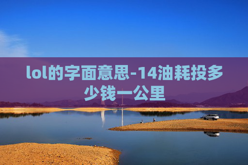 lol的字面意思-14油耗投多少钱一公里