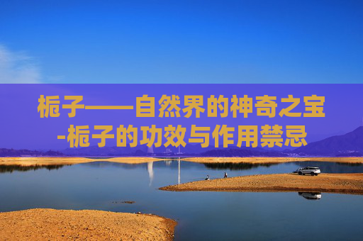 栀子——自然界的神奇之宝-栀子的功效与作用禁忌