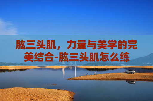 肱三头肌，力量与美学的完美结合-肱三头肌怎么练