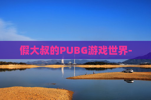 假大叔的PUBG游戏世界-