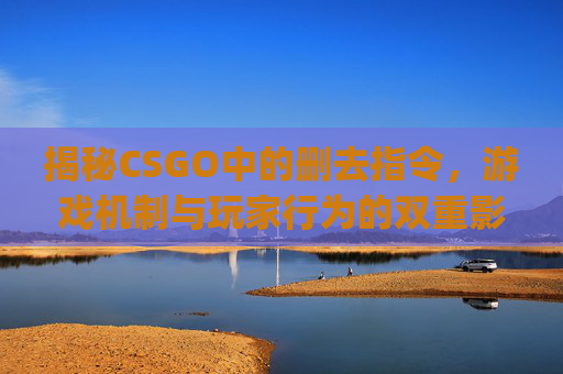 揭秘CSGO中的删去指令，游戏机制与玩家行为的双重影响-csgo作弊指令清除bot