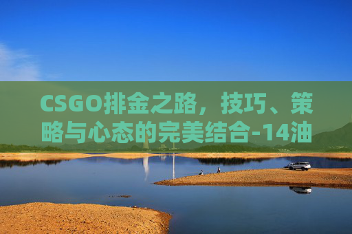 CSGO排金之路，技巧、策略与心态的完美结合-14油耗投多少钱一公里