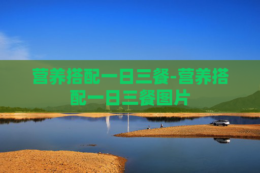 营养搭配一日三餐-营养搭配一日三餐图片