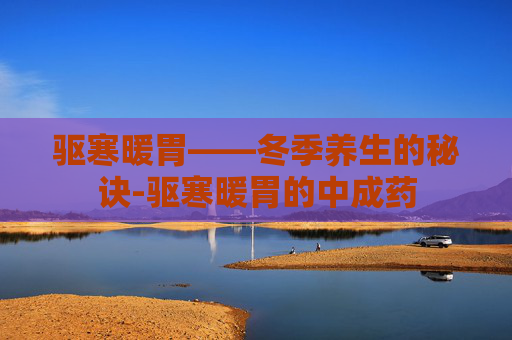 驱寒暖胃——冬季养生的秘诀-驱寒暖胃的中成药