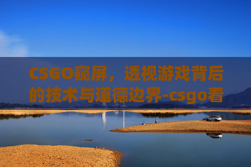 CSGO窥屏，透视游戏背后的技术与道德边界-csgo看录像怎么开x光