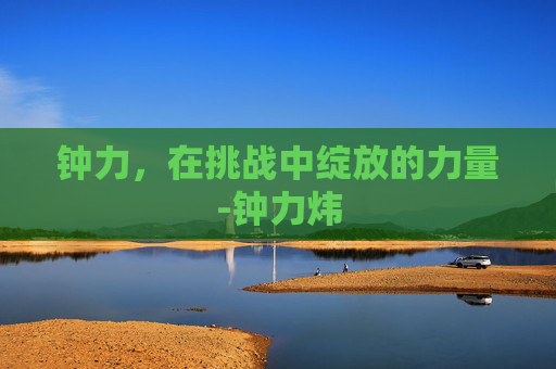 钟力，在挑战中绽放的力量-钟力炜