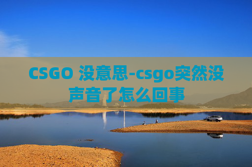 CSGO 没意思-csgo突然没声音了怎么回事