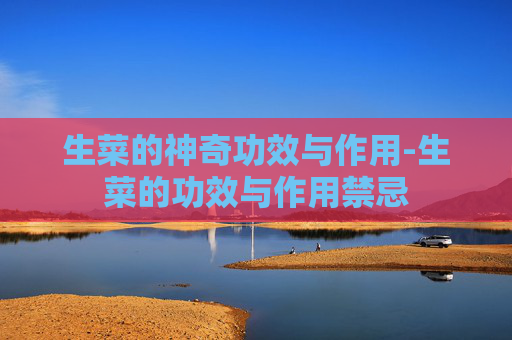 生菜的神奇功效与作用-生菜的功效与作用禁忌
