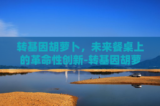 转基因胡萝卜，未来餐桌上的革命性创新-转基因胡萝卜长什么样
