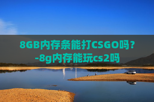 8GB内存条能打CSGO吗？-8g内存能玩cs2吗