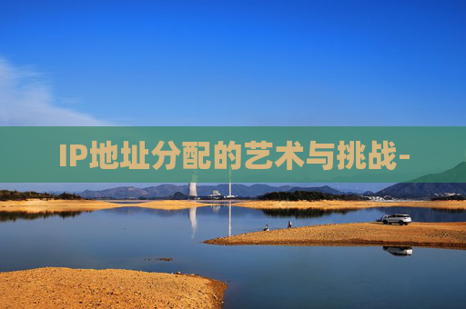 IP地址分配的艺术与挑战-