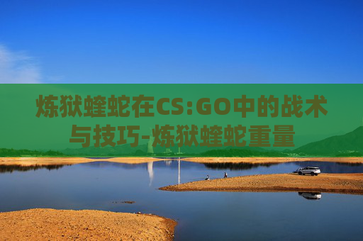 炼狱蝰蛇在CS:GO中的战术与技巧-炼狱蝰蛇重量