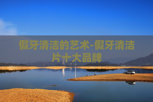假牙清洁的艺术-假牙清洁片十大品牌