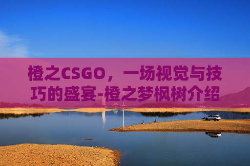 橙之CSGO，一场视觉与技巧的盛宴-橙之梦枫树介绍