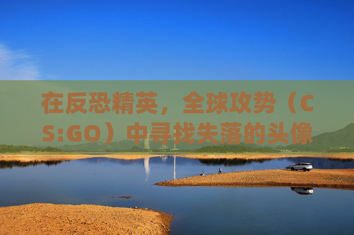 在反恐精英，全球攻势（CS:GO）中寻找失落的头像-csgo高端局伤感id