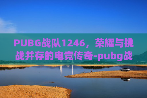 PUBG战队1246，荣耀与挑战并存的电竞传奇-pubg战队成员
