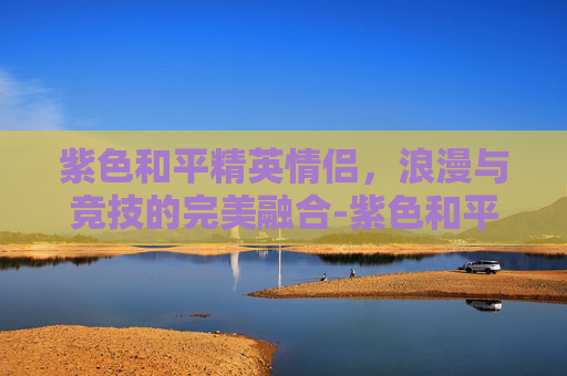 紫色和平精英情侣，浪漫与竞技的完美融合-紫色和平精英情侣ID